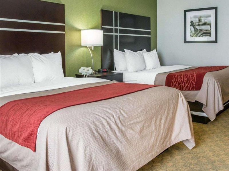 Comfort Inn & Suites Maumee - Toledo I80-90 Luaran gambar