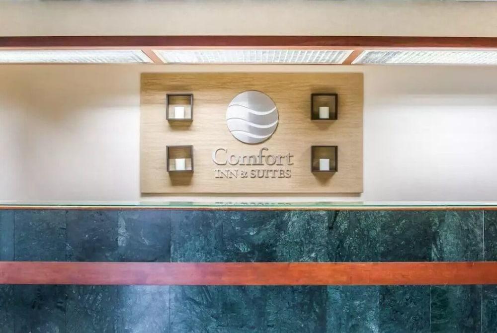 Comfort Inn & Suites Maumee - Toledo I80-90 Luaran gambar