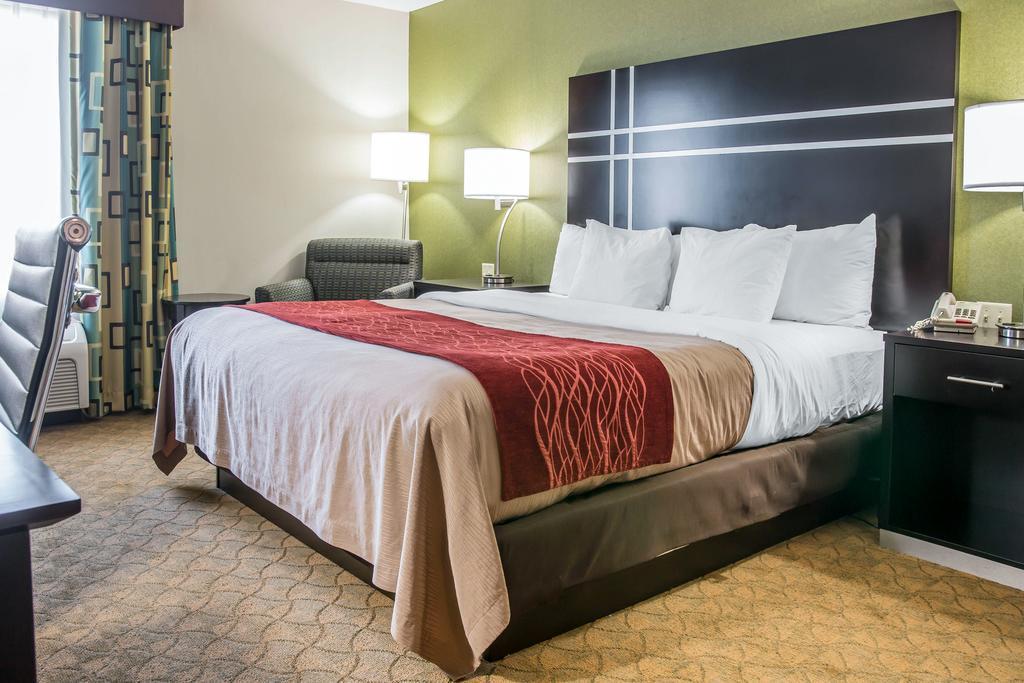 Comfort Inn & Suites Maumee - Toledo I80-90 Luaran gambar