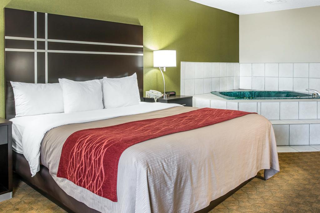 Comfort Inn & Suites Maumee - Toledo I80-90 Luaran gambar